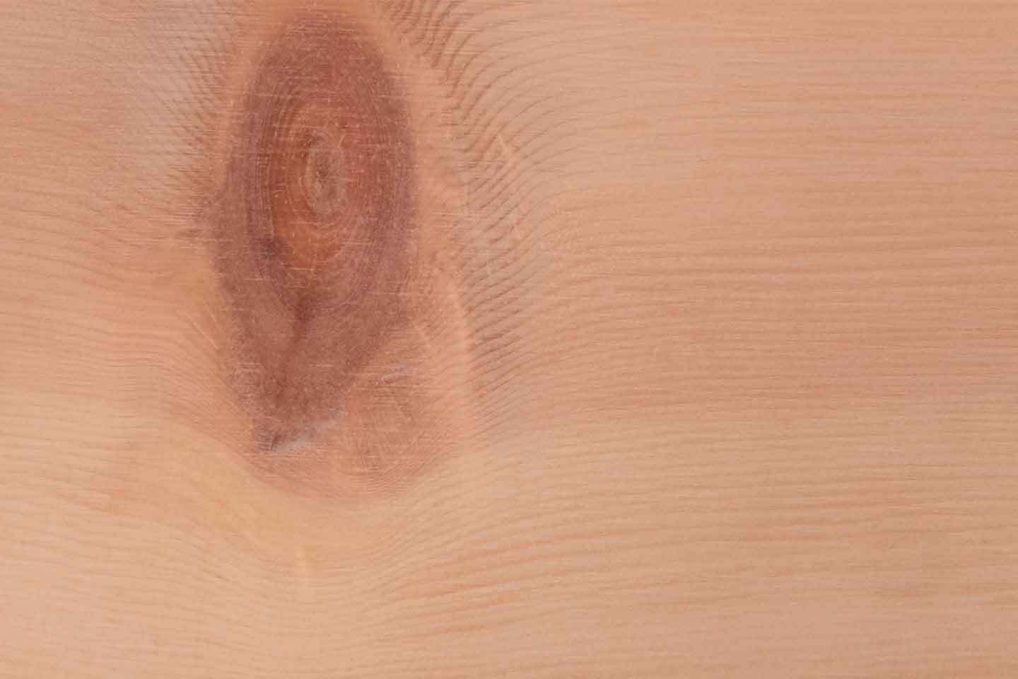 wood-species-pine