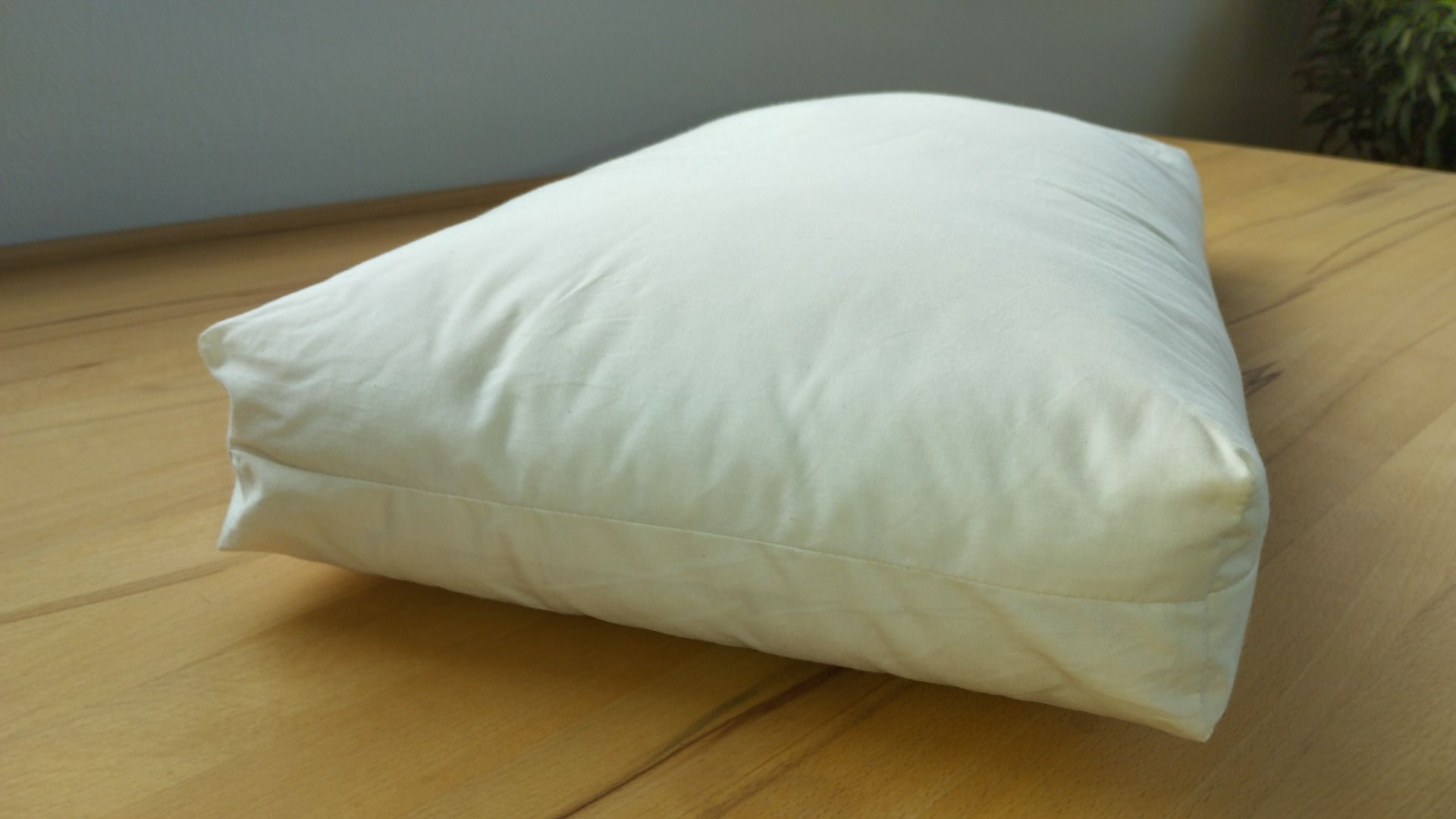 Sleeping Bag Big Agnes Travel Pillow Big Agnes Women's Anthracite