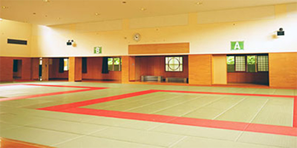 greenly surface of the rice straw mats in a martial arts center
