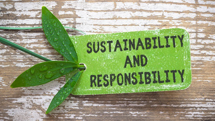 Futonwerk's Sustainability and Responsibility